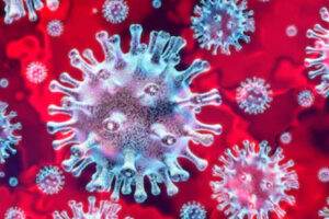 Coronavirus2