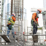 Scaffold Scaffold