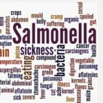 Salmonella Salmonella