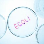 Ecoli