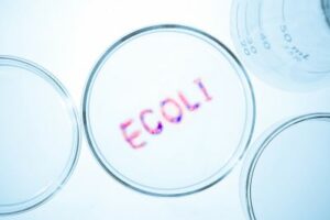 Ecoli